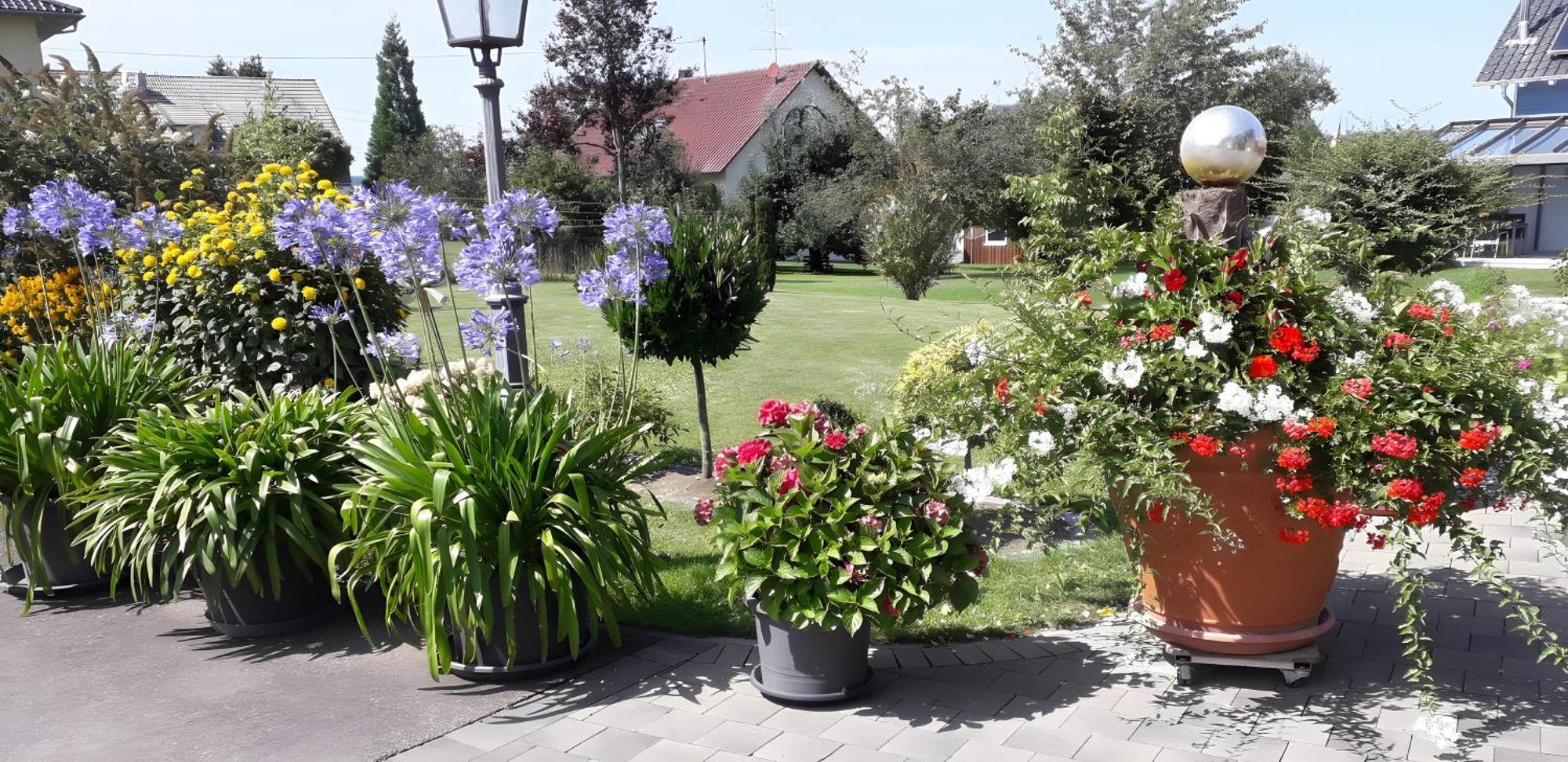 Feriendomizil Berta Benzingen Apartman Winterlingen Kültér fotó